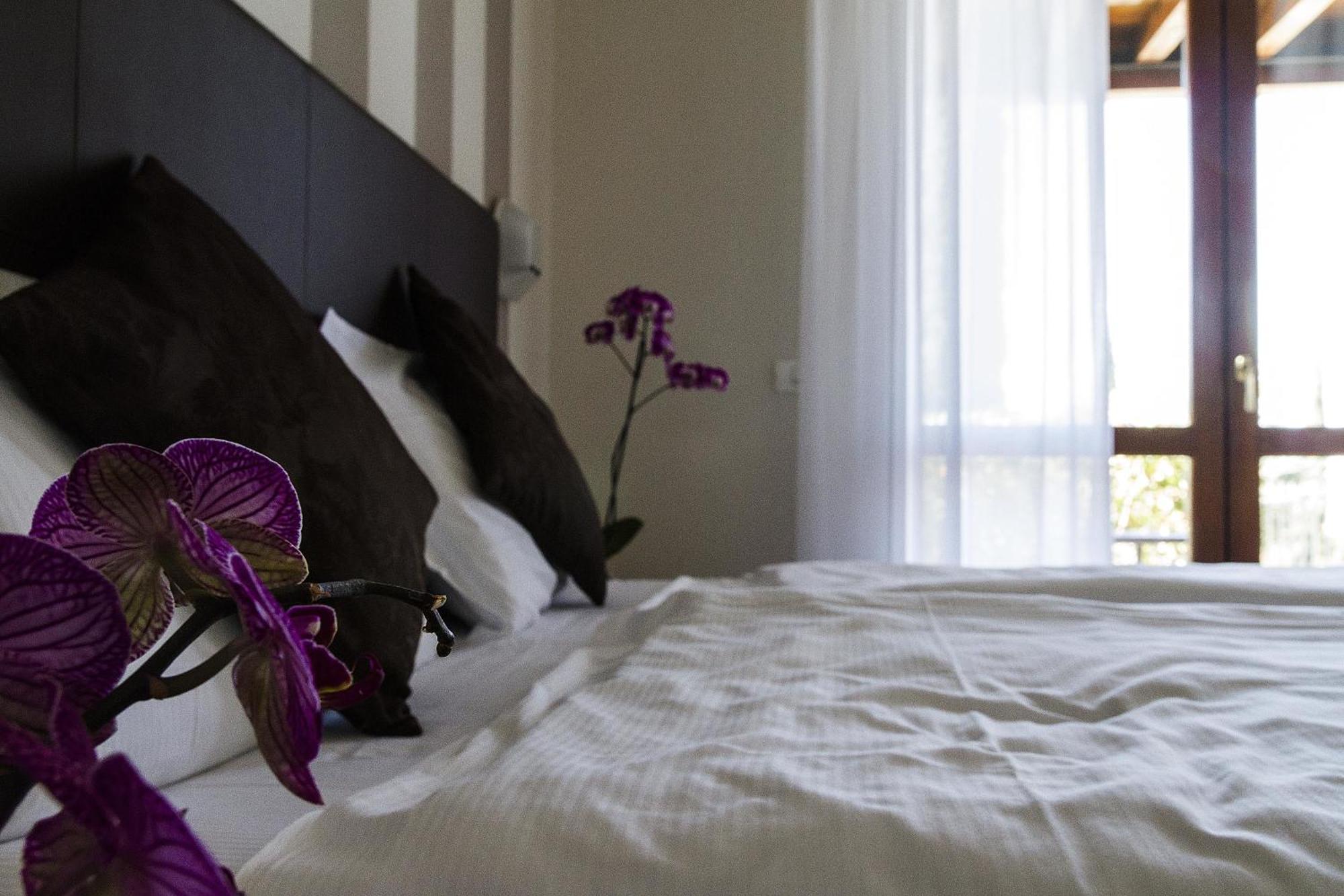 Hotel Relais Agli Olivi Лацизе Номер фото